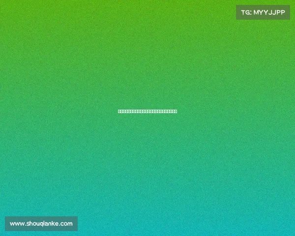 嵩山少林武术学院：传承武道精髓，弘扬中华文化瑰宝